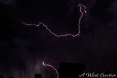 IMG_3267b