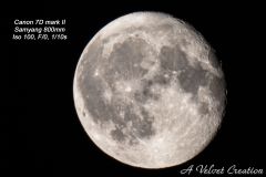 IMG_3779b