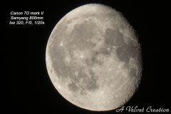 IMG_3868b