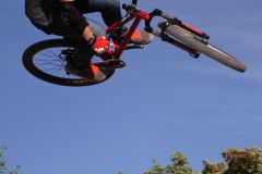 IMG_0536b