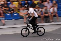 IMG_9347b