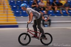 IMG_9870b