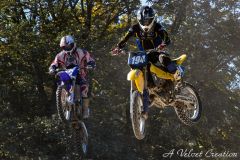IMG_0507b