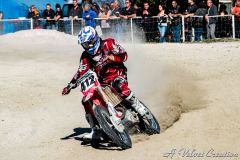 IMG_2433b
