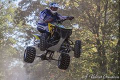 IMG_2767b