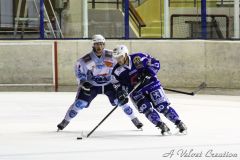 IMG_3940b