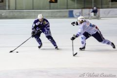 IMG_4565b
