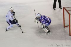 IMG_4623b