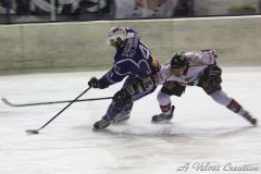 IMG_5044b