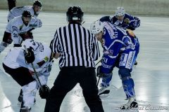 IMG_5292b