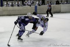 IMG_5408b