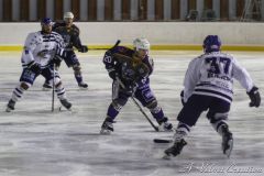 IMG_3786b