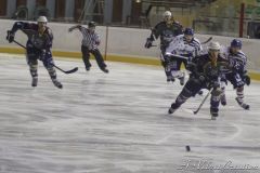 IMG_3801b