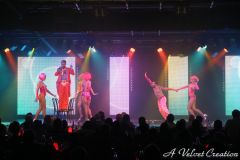 IMG_1911