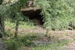 IMG_0077b
