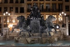 IMG_9958c