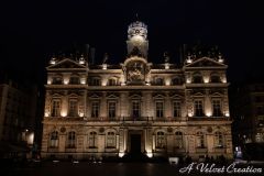 IMG_9979b