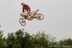 IMG_7425b