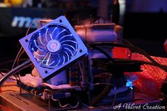 IMG_6739