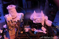 IMG_6748