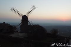 DJI_0021.00_01_01_24.Still001