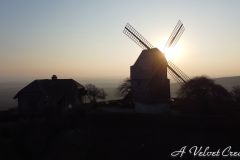 DJI_0021.00_03_36_14.Still013