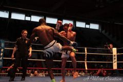 IMG_3812
