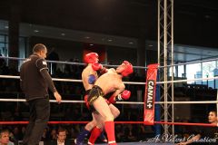 IMG_6113