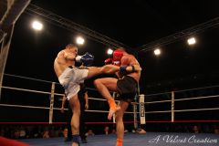 IMG_7911
