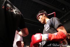 IMG_8141