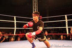 IMG_8160