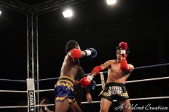 IMG_8197
