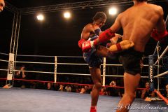 IMG_8420