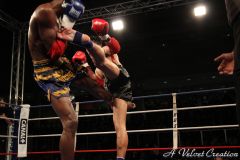 IMG_8516