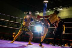 IMG_0722b