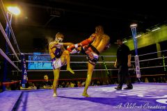 IMG_2618b
