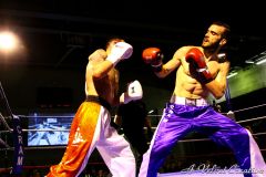 IMG_8631b