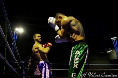 IMG_8683b