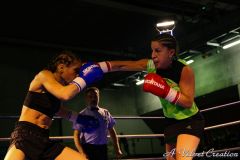 IMG_9856b