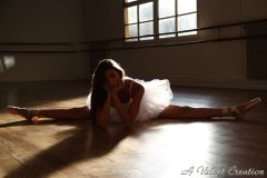 IMG_8526