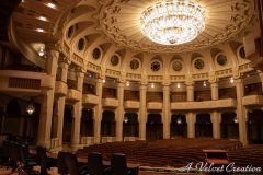 IMG_6063a