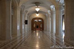 IMG_6072