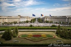 IMG_6109a