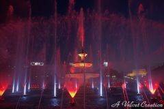 IMG_6196