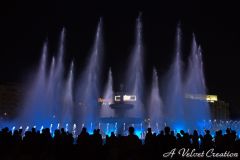 IMG_6387
