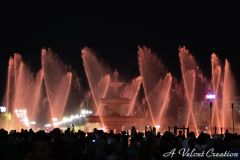 IMG_6410a