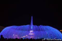 IMG_6468