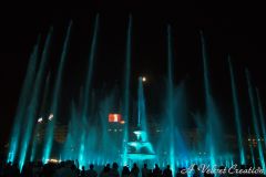 IMG_6528