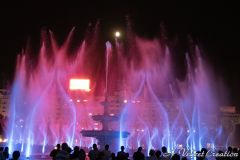 IMG_6552a