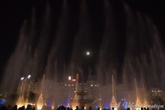 IMG_6560